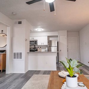 Living room and kitchen