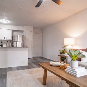 Living room and kitchen
